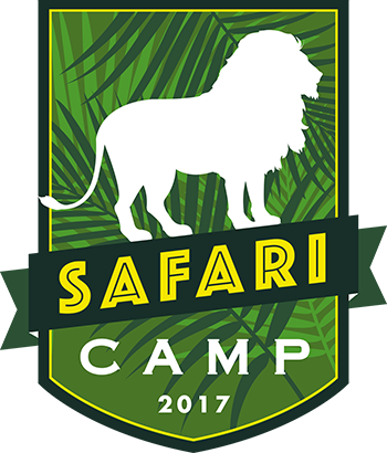 2017-day-camp-patch-no-loop.png
